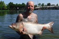 Chinese Silver Carp