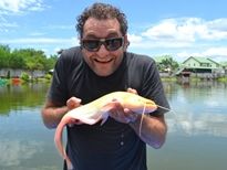 Thai Fish Species - Albino Wels Catfish