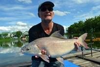 Thai Fish Species - Small Scale Mud Carp