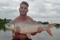 Thai Fish Species - Small Scale Mud Carp