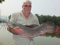Thai Fish Species - Vundu Catfish