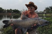 Thai Fish Species - Chinese Black Carp