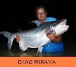 Photo Gallery - Chao Phraya