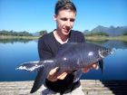Black Carp