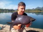 Black Carp