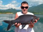 Black Carp