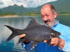 Black Carp