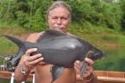 Black Carp