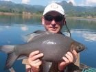 Black Carp