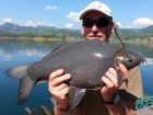 Black Carp