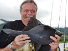 Black Carp