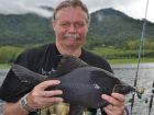 Black Carp
