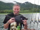 Black Carp