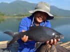 Black Carp