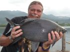 Black Carp
