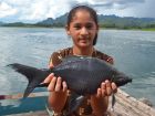 Black Carp