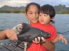 Black Carp