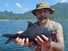 Black Carp