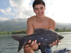 Black Carp