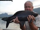 Black Carp