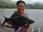 Black Carp