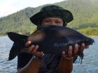 Black Carp