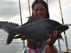 Black Carp