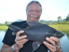 Black Carp