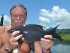 Black Carp