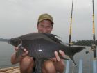 Black Carp