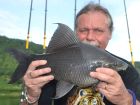 Black Carp