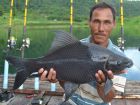Black Carp
