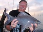 Black Carp