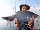 Black Carp