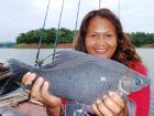 Black Carp