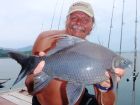 Black Carp