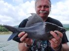 Black Carp