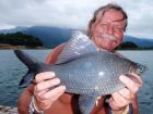 Black Carp