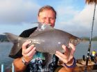 Black Carp