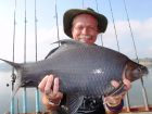 Black Carp