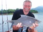 Black Carp
