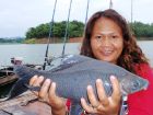 Black Carp