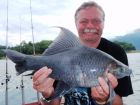 Black Carp