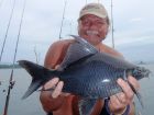 Black Carp