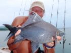 Black Carp