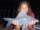 Black Carp