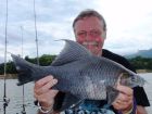 Black Carp