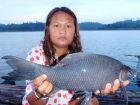 Black Carp