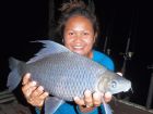 Black Carp