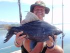 Black Carp